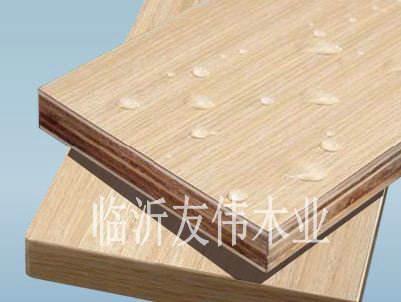 性胶合板两种之间的标准