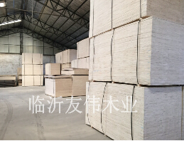 整芯包装板设计合理，制作优良，性能稳定